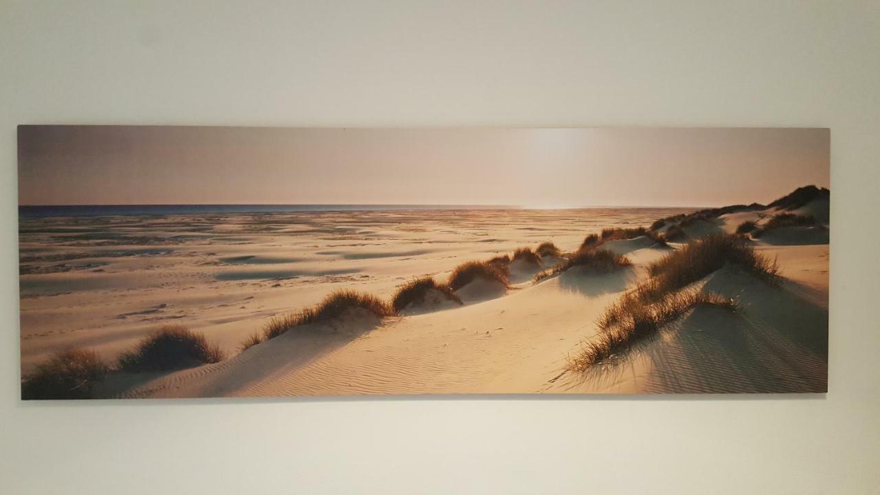 De Schelp 37 Διαμέρισμα Zandvoort Εξωτερικό φωτογραφία