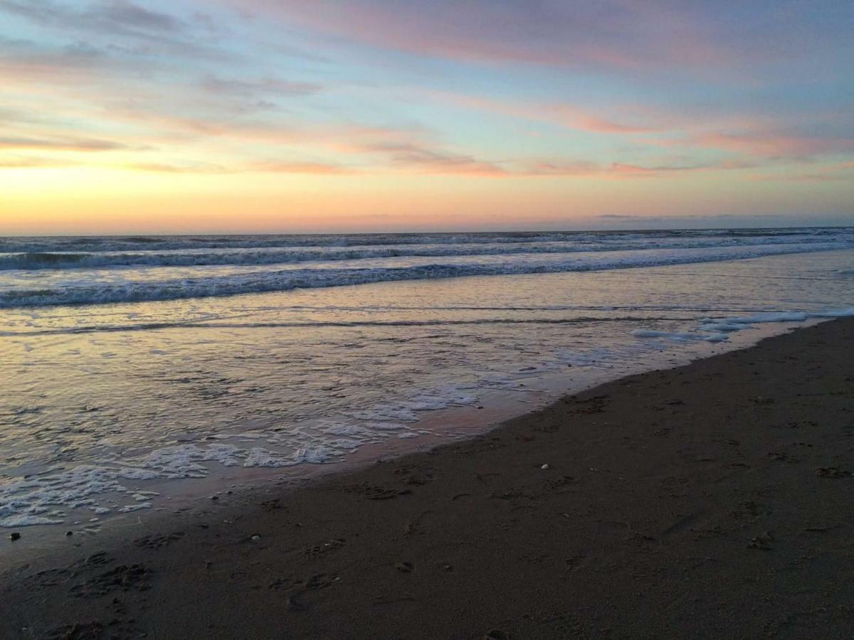 De Schelp 37 Διαμέρισμα Zandvoort Εξωτερικό φωτογραφία