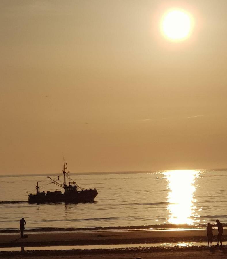 De Schelp 37 Διαμέρισμα Zandvoort Εξωτερικό φωτογραφία